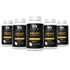 gid://shopify/MediaImage/33354900734149